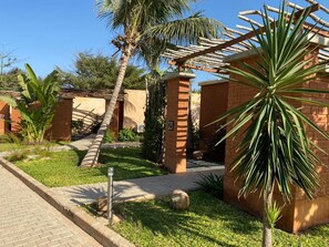 A well-maintained garden with a palm tree, a brick wall, and a pathway leading to a building entrance. - Hôtel Boma (Dakar)