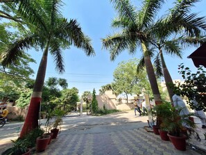 A paved entrance with palm trees, a gate, and potted plants. - Nancy Paradise Hotel (Haridwar)