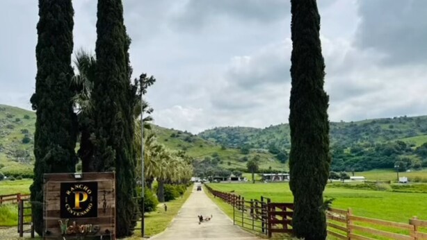 A pathway leading to a ranch property with a signboard, flanked by tall trees and a wooden fence.