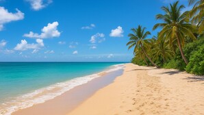 A beach with clear turquoise water, sandy shore, and palm trees. - 500m to Beach- Large Balcony and Yard | Pet Friend (Ocean Grove)