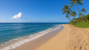 A beach with clear blue water, sandy shore, and palm trees. - 500m to Beach- Large Balcony and Yard | Pet Friend (Ocean Grove)