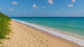 A beach with clear turquoise water, a sandy shore, and sparse vegetation. - 500m to Beach- Large Balcony and Yard | Pet Friend (Ocean Grove)