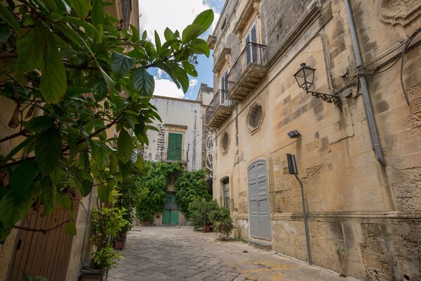 A narrow cobblestone street flanked by historic buildings with green shutters and a potted plant.
