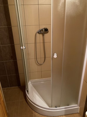 Regadera, secadora de cabello, toallas, papel de baño 