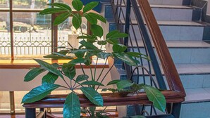 Un escalier avec un pot de fleurs placé sur la plateforme.
