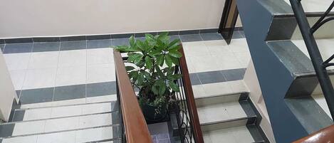 A staircase with a potted plant, directional signs for Hyray Restaurant and Flax Boardroom, and a sign indicating Room 10-104.