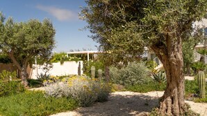 A garden with various plants and trees, a pathway, and a building in the background. - GuestHost - Charming 40 sqm apartment with seaview, able to accommodate 4 people, located inside the renowned Borgo 84 residence, equipped with swimming pool and cycle path. The property is located just 3 km from the center of Marzamemi, one of the most  (Pachino)