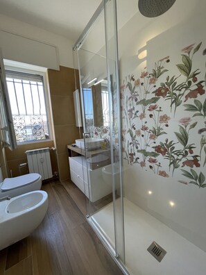 Shower, free toiletries, hair dryer, bidet