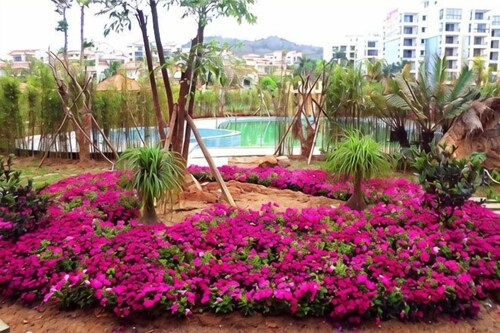 Wanning Mantening Wenquan Serviced Apartment (Xinglong Town)