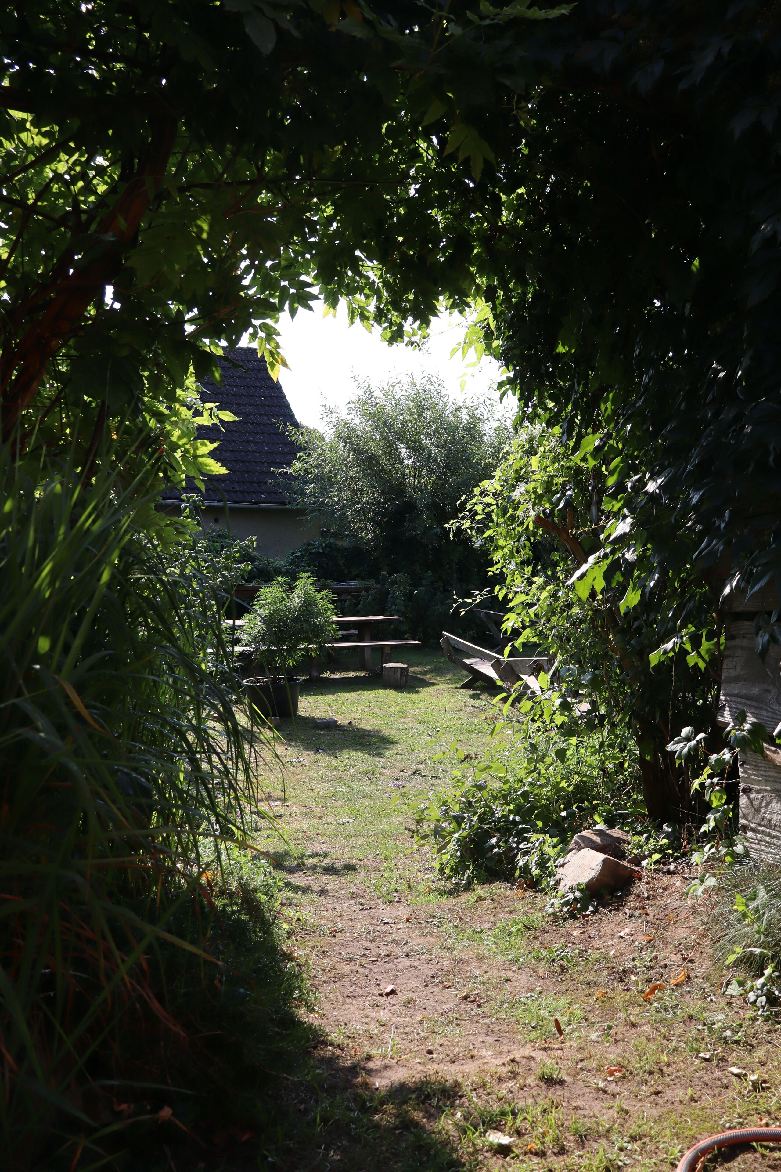 Un sentier de jardin mène à une maison dont le toit est en pente, entourée d’un feuillage dense et d’une clôture en bois.