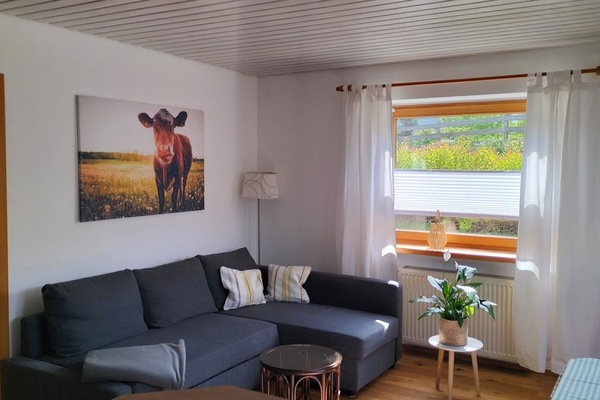 Ferienwohnung 40 qm für max. 4 Personen-Wohnecke/Schlafcouch ausziehbar in Wohnküche