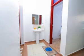Regadera, toallas, jabón, papel de baño