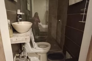 Douche, serviettes fournies, papier toilette