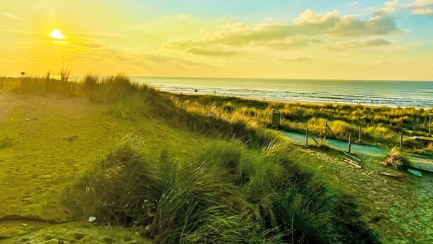 A coastal landscape with a grassy dune path leading to the beach, a clear sky, and the ocean.