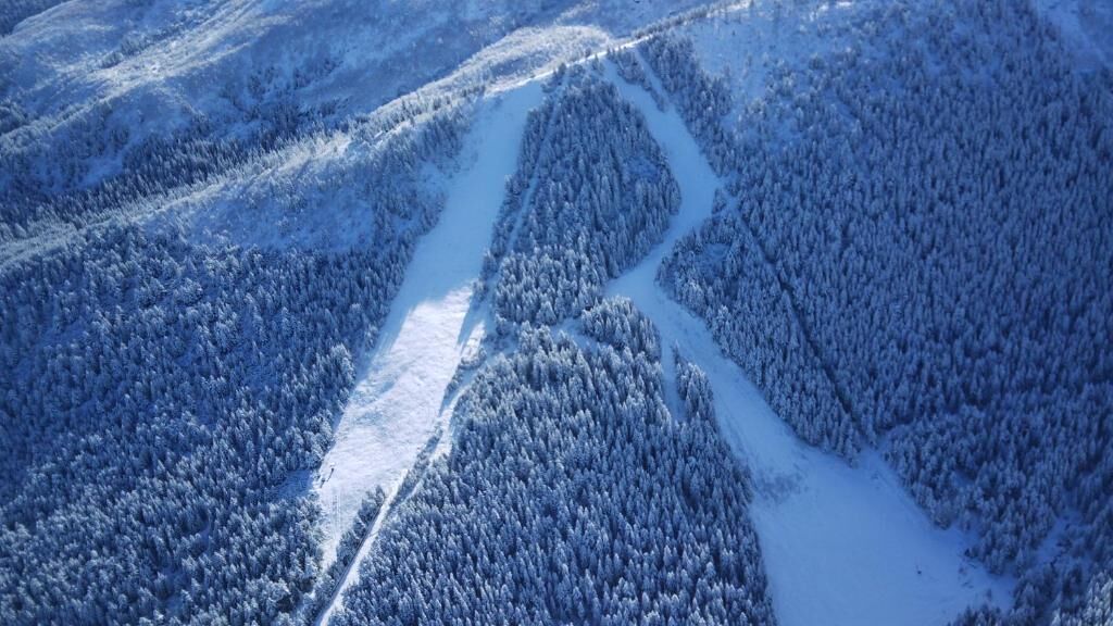 Un área boscosa cubierta de nieve con un sendero despejado.
