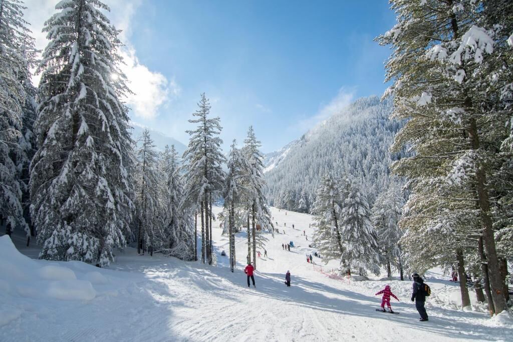 A snowy ski slope with trees and skiers.