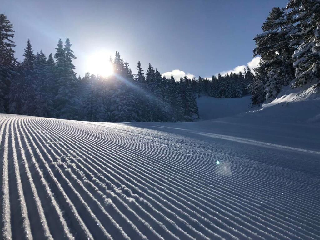 A snow-covered ski slope with trees in the background and the sun shining through.