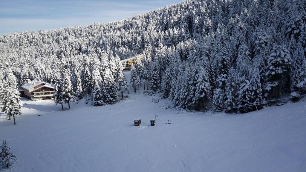 A snow-covered lodge surrounded by dense forest.