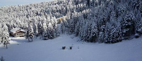 A snow-covered lodge surrounded by dense forest.