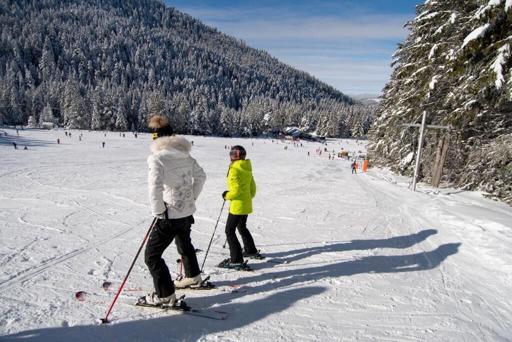 A snowy ski slope with skiers and a forested mountain in the background.