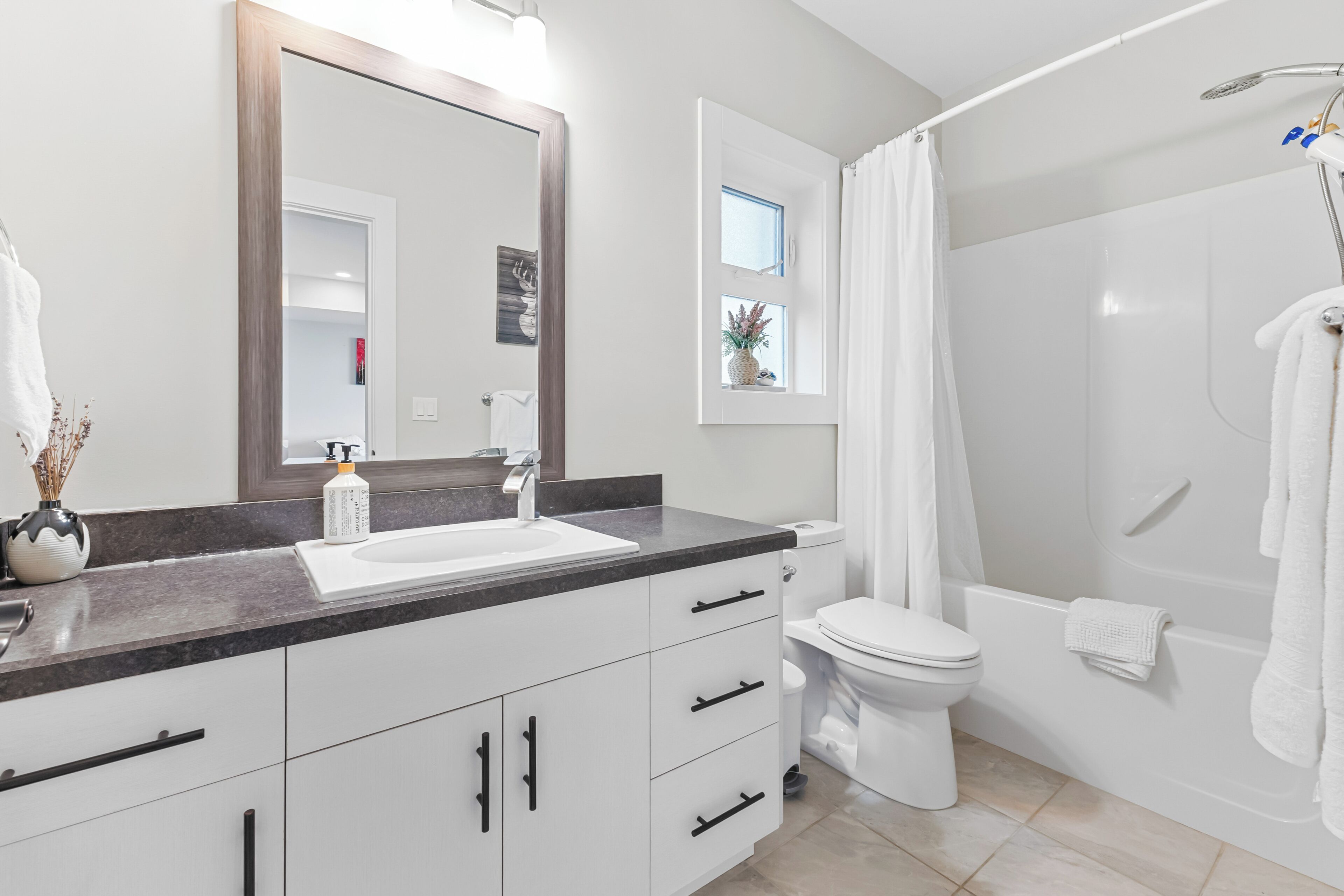 Hair dryer, towels, soap, shampoo