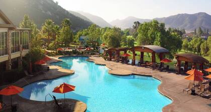 Hyatt The Welk! Family Friendly Condo with Great Location!