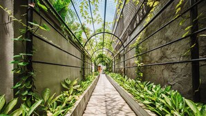 Un étroit passage couvert, bordé de plantes et doté d’un sol en pierre, qui mène à une porte située au loin.