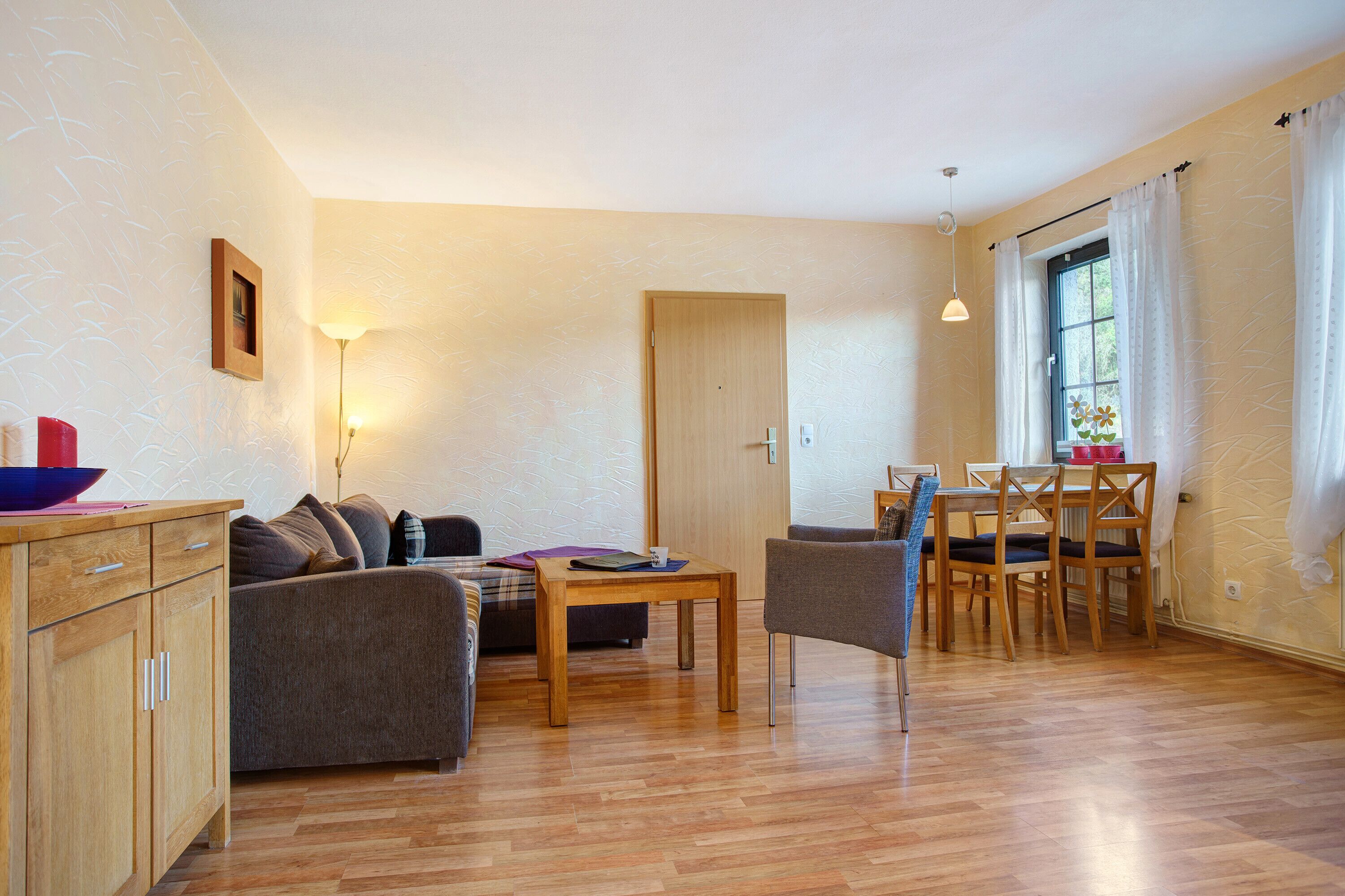 TV, DVD player, table tennis