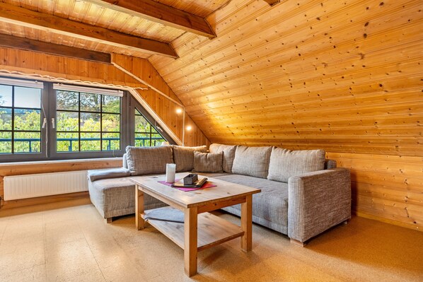 Televisión, reproductor de DVD y tenis de mesa 