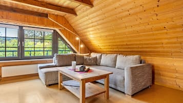 TV, DVD player, table tennis