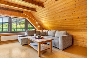 TV, DVD player, mesa de pingue-pongue