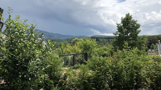 Un jardin agrémenté d’une porte en métal, d’une végétation luxuriante et dominé par un paysage montagneux.