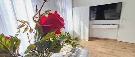 A room with a wooden floor, a TV mounted on the wall, and a potted plant with a red flower.