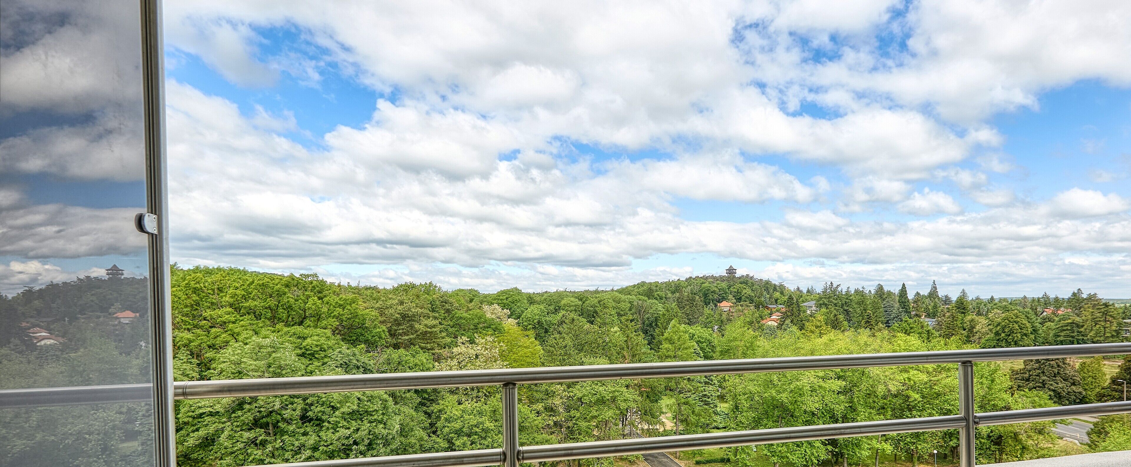 Superior Double Room, City View | Balcony view