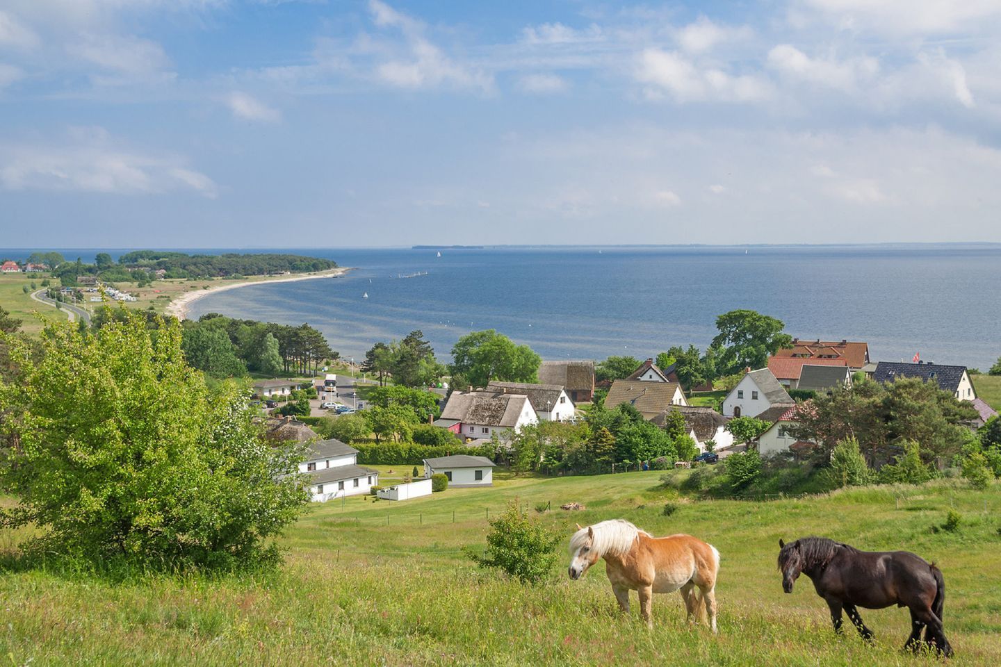 A coastal village with houses, a beach, and horses.