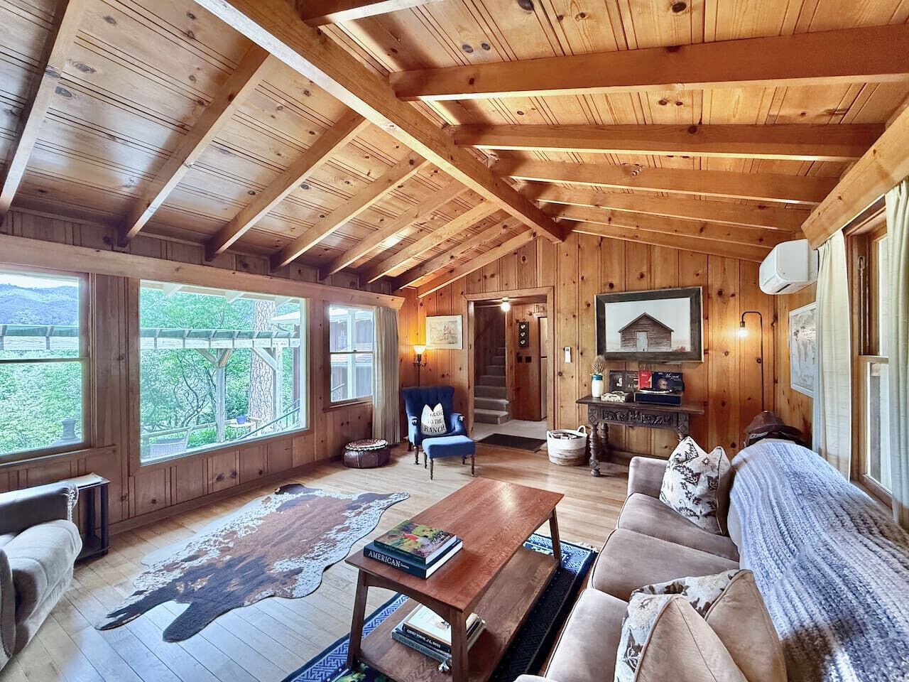 智能電視、壁爐、書籍