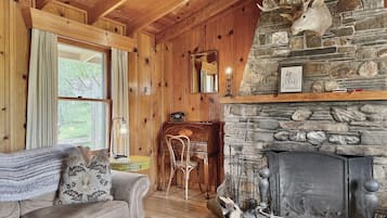 Smart TV, fireplace, books