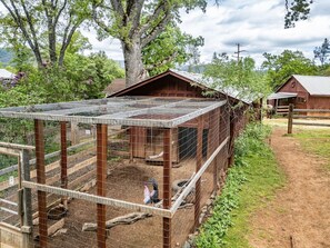 Property grounds - Homestead Ranch near Yosemite w/ Horses & Chickens (Midpines)