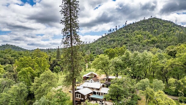 Een huis omgeven door dicht bos, met een heldere lucht.