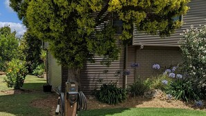 Una casa con un gran árbol en el frente, un camino de entrada de grava y un césped bien cuidado.