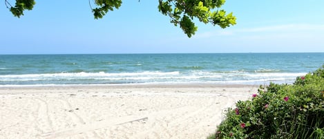Plage à proximité