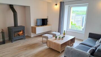Smart-TV, Kamin