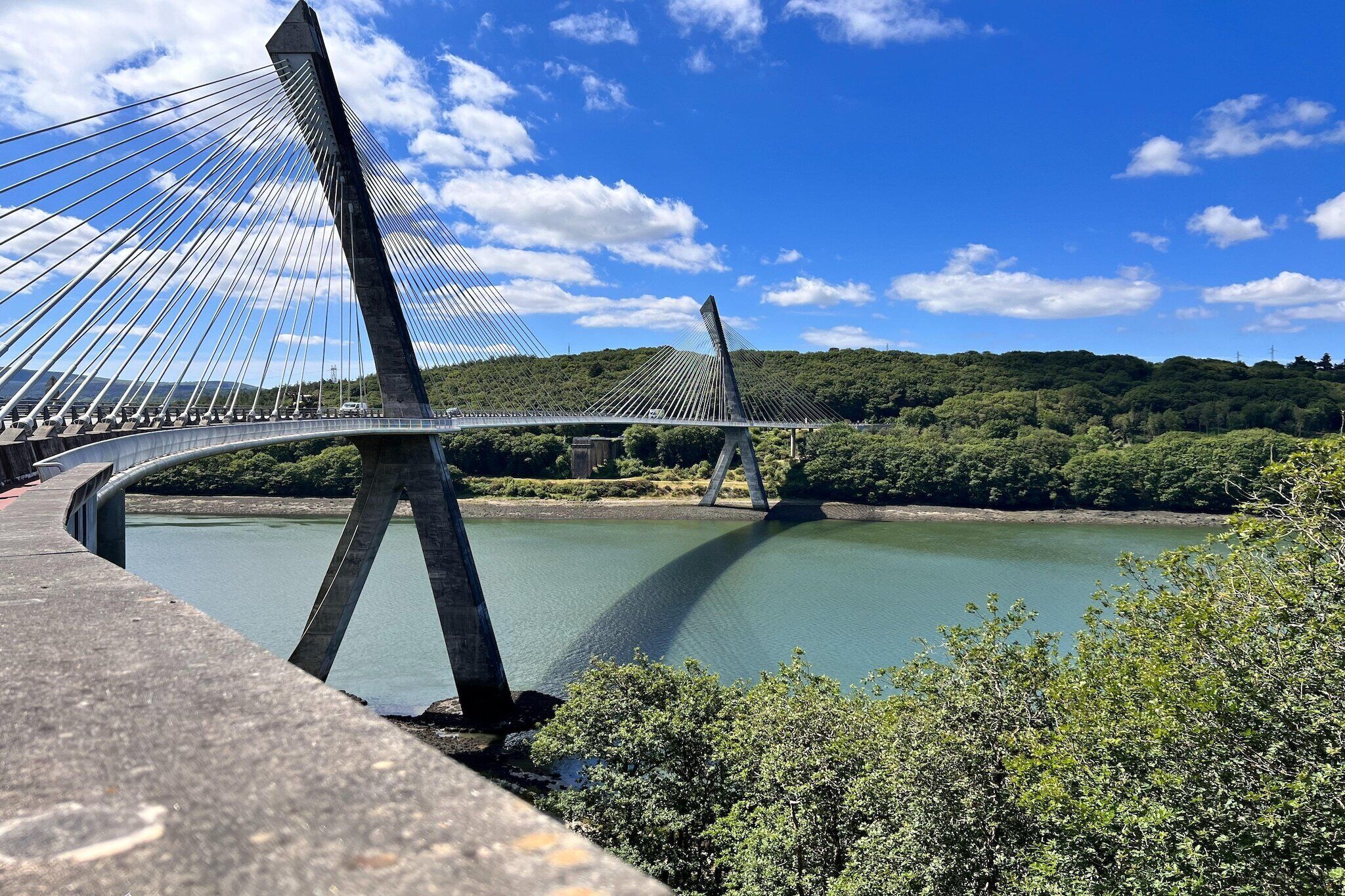 Un moderno puente atirantado con vistas despejadas del río y abundante vegetación al fondo.