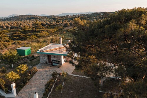 Petrino Eco Conscious Living