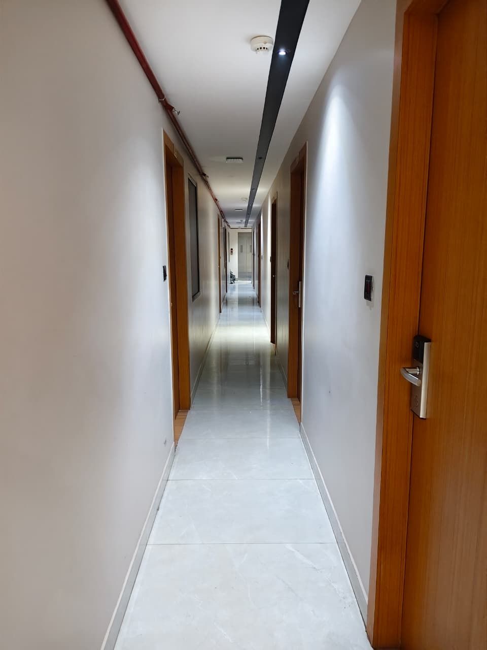الردهة