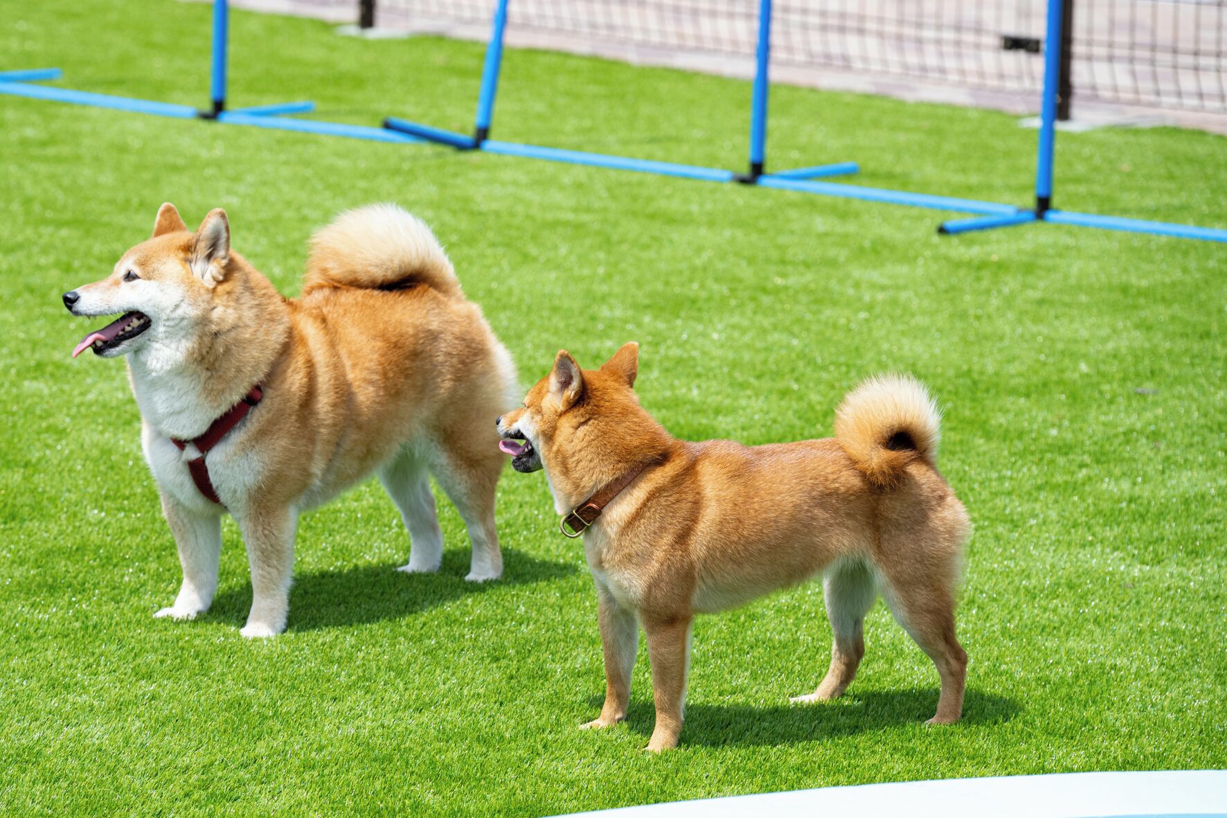Tiện nghi, dịch vụ nơi lưu trú
