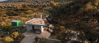 Petrino Eco Conscious Living