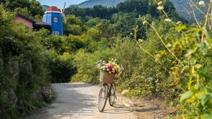 A bicycle with a basket of flowers on a dirt path.