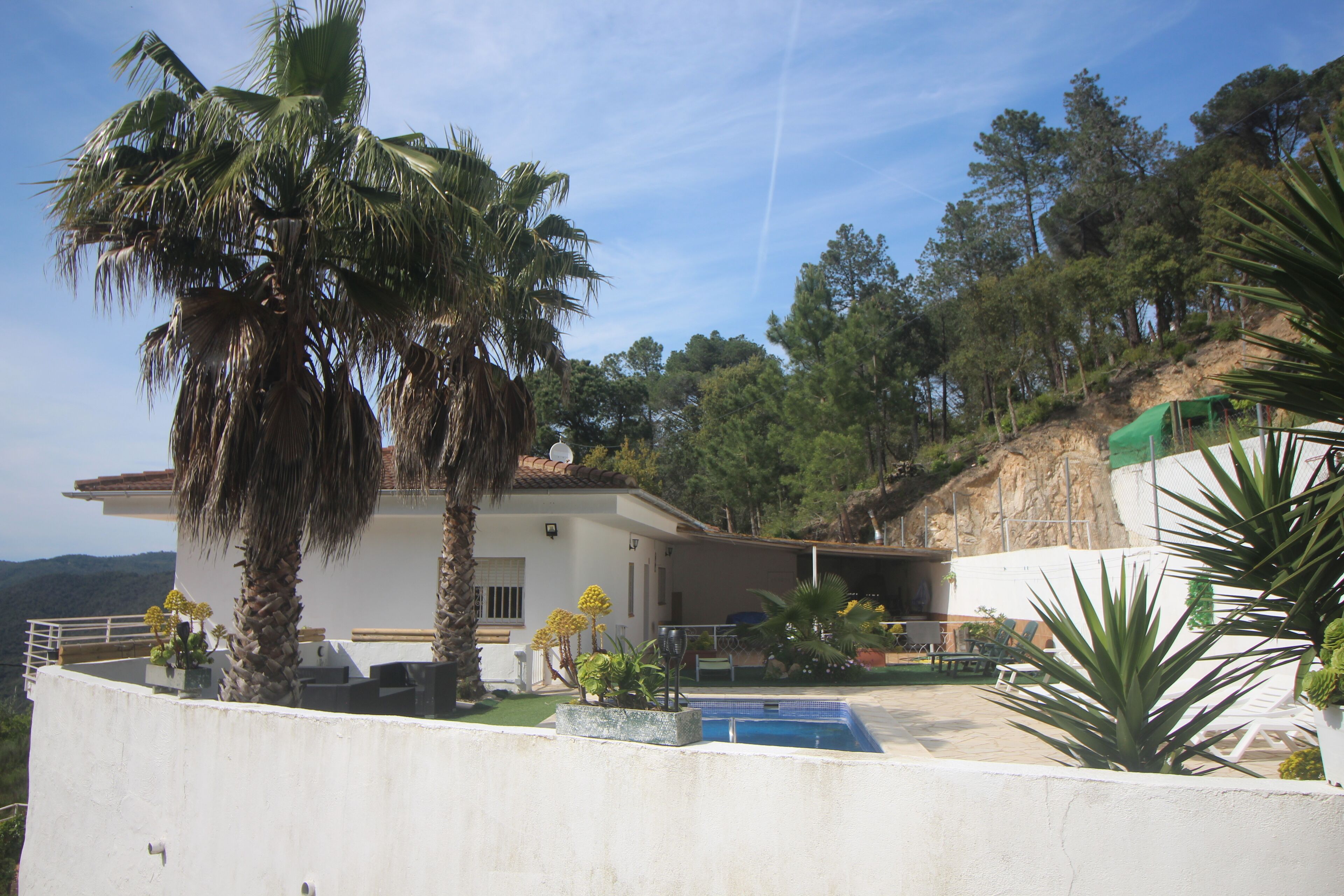 A house with a pool, palm trees, and a view of the hills.