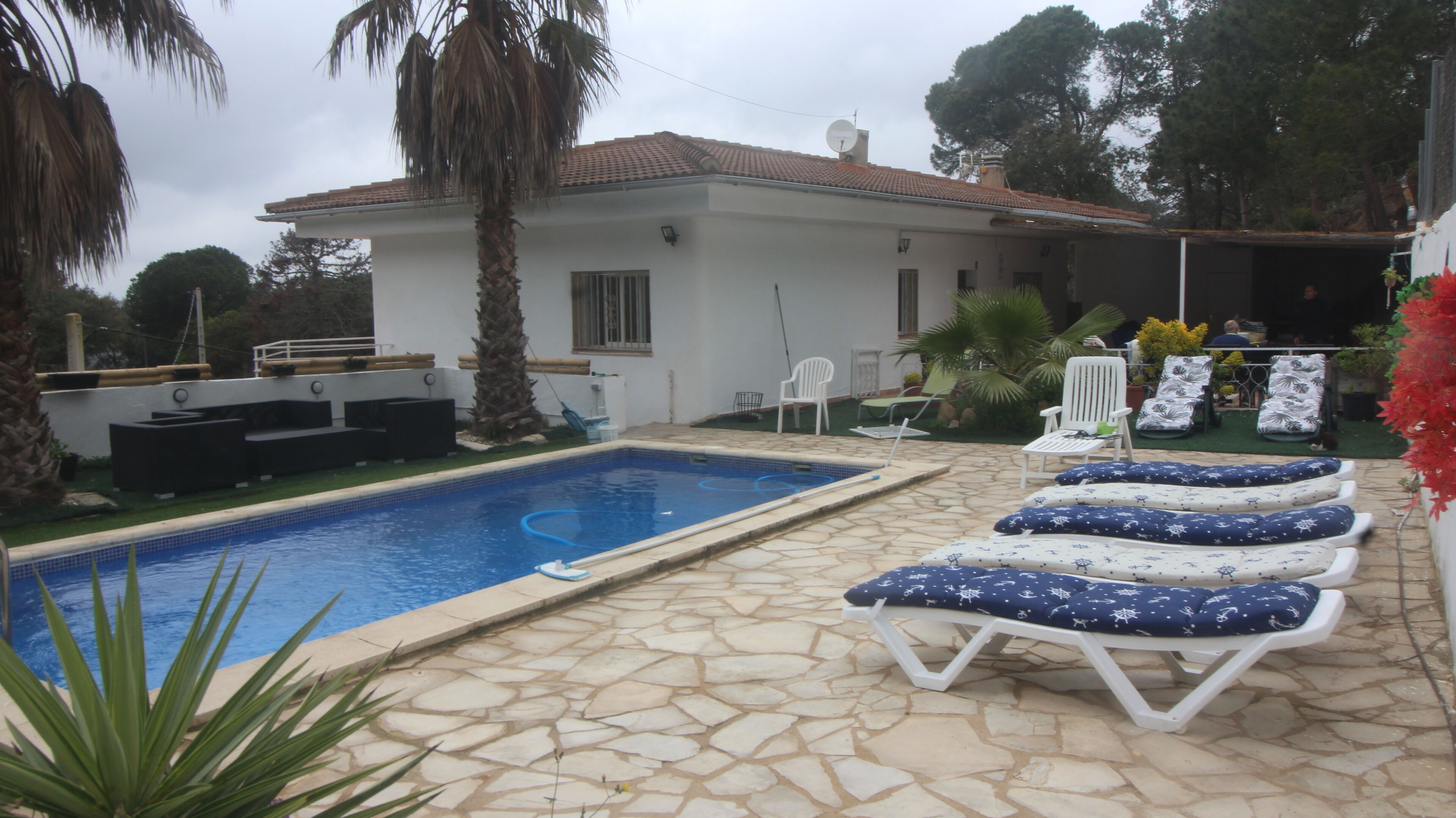 A swimming pool with lounge chairs, a white building with a tiled roof, and surrounding greenery.
